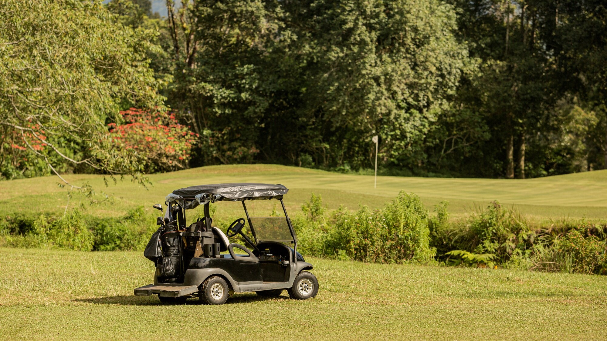 Guide to Buying Golf Carts in Melbourne